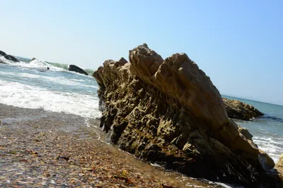 DSC_2567 (Large).JPG